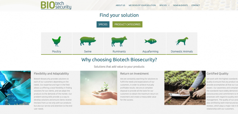 New WEBSITE